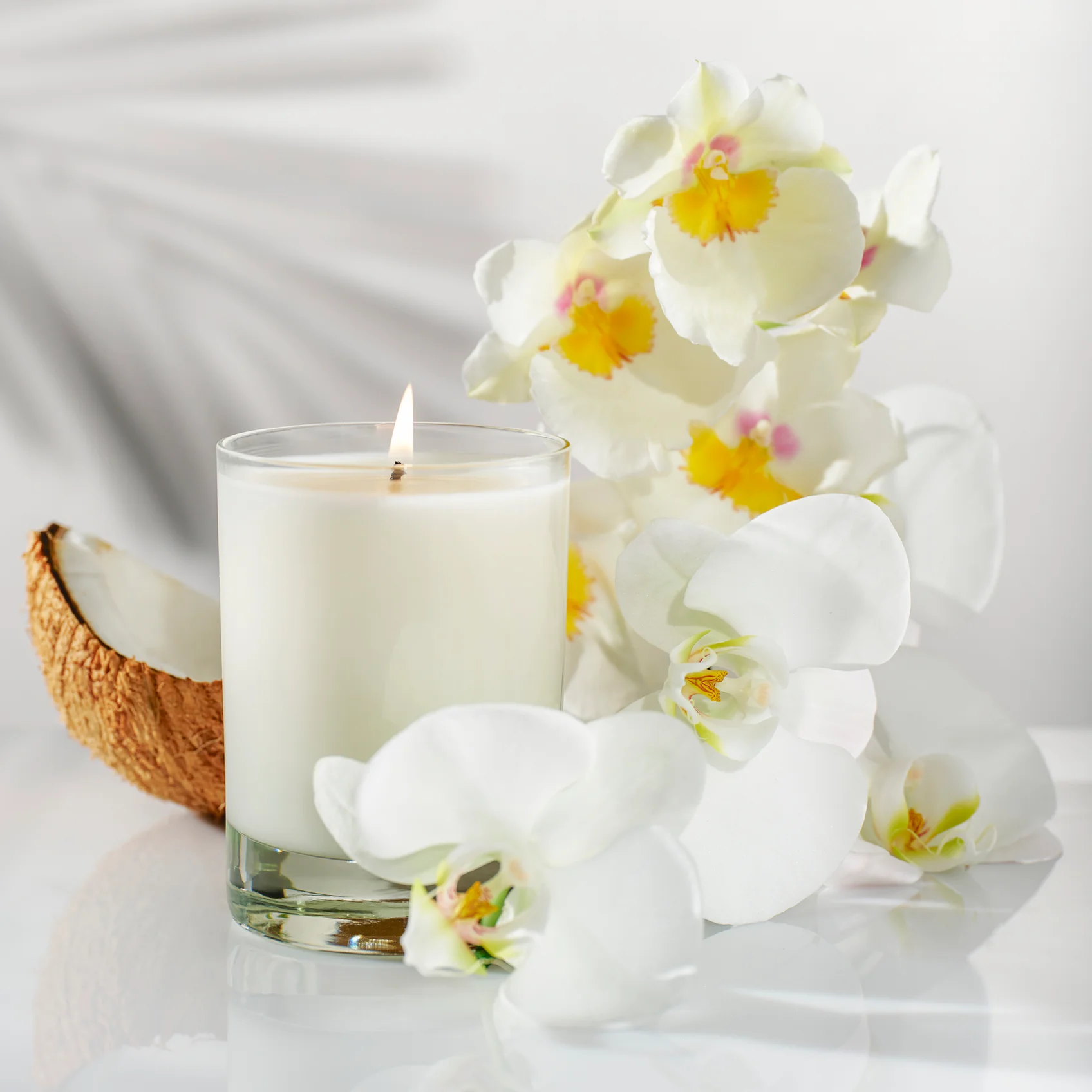 Candles & Home Fragrance