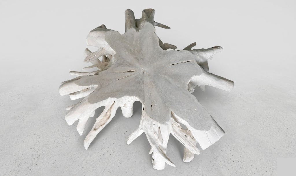 42" SUN-BLEACHED TEAKROOT COFFEE TABLE I