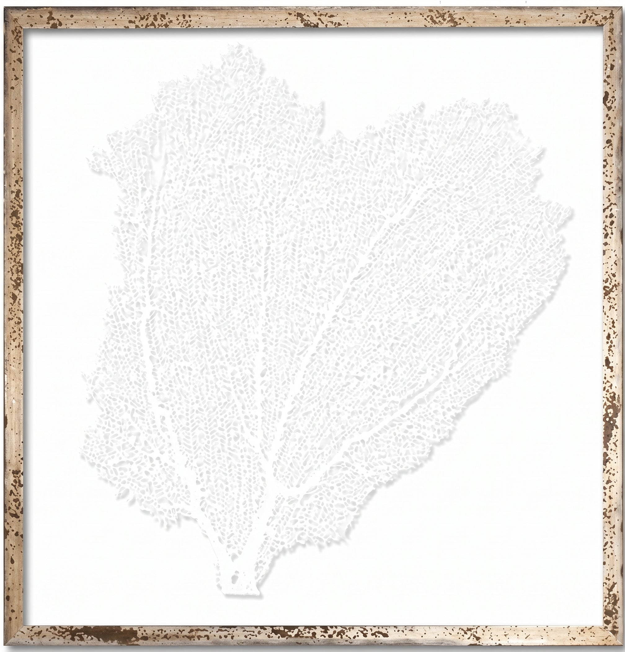 30" FRAMED SEAFANS ART